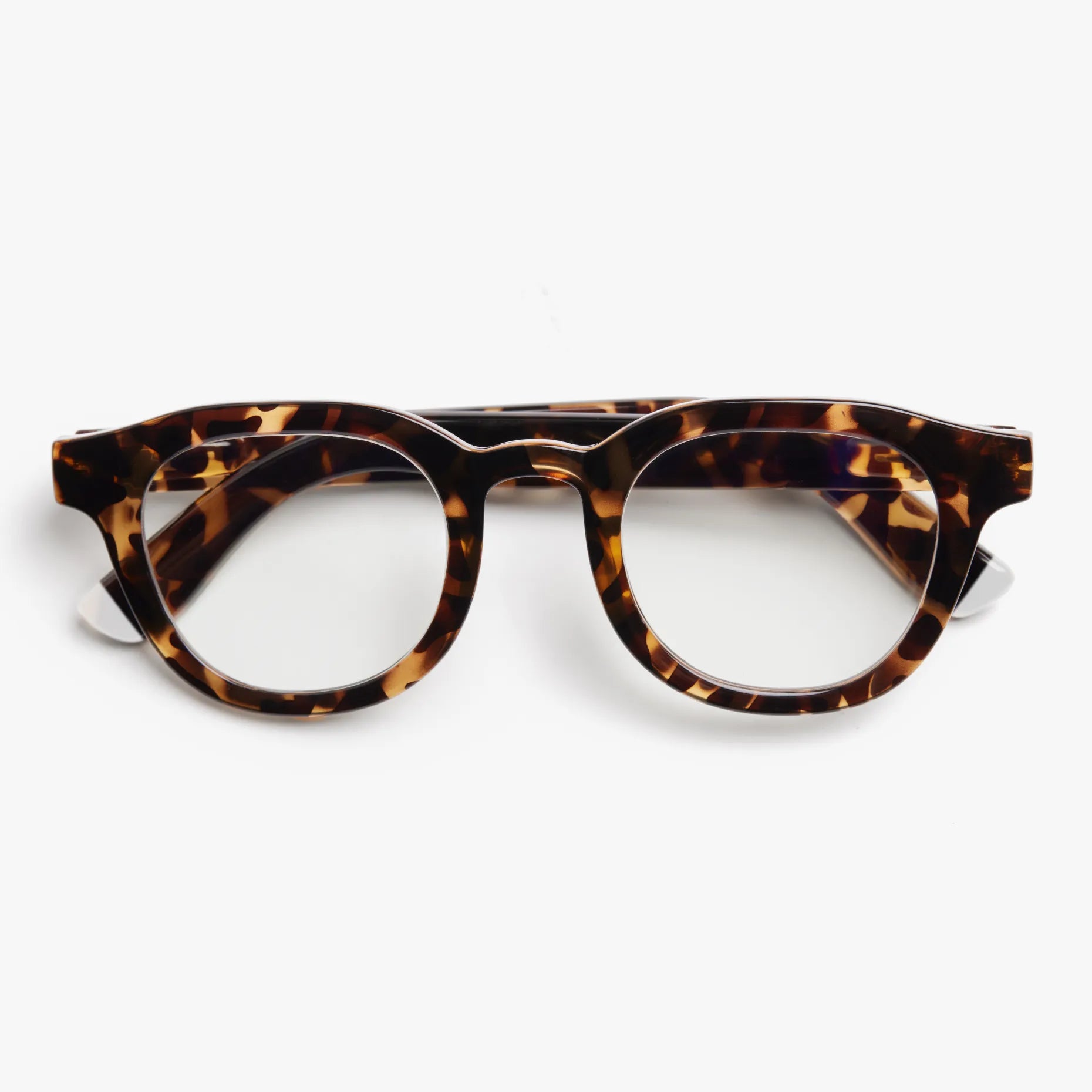 Barner Andy Tortoise Reader Glasses