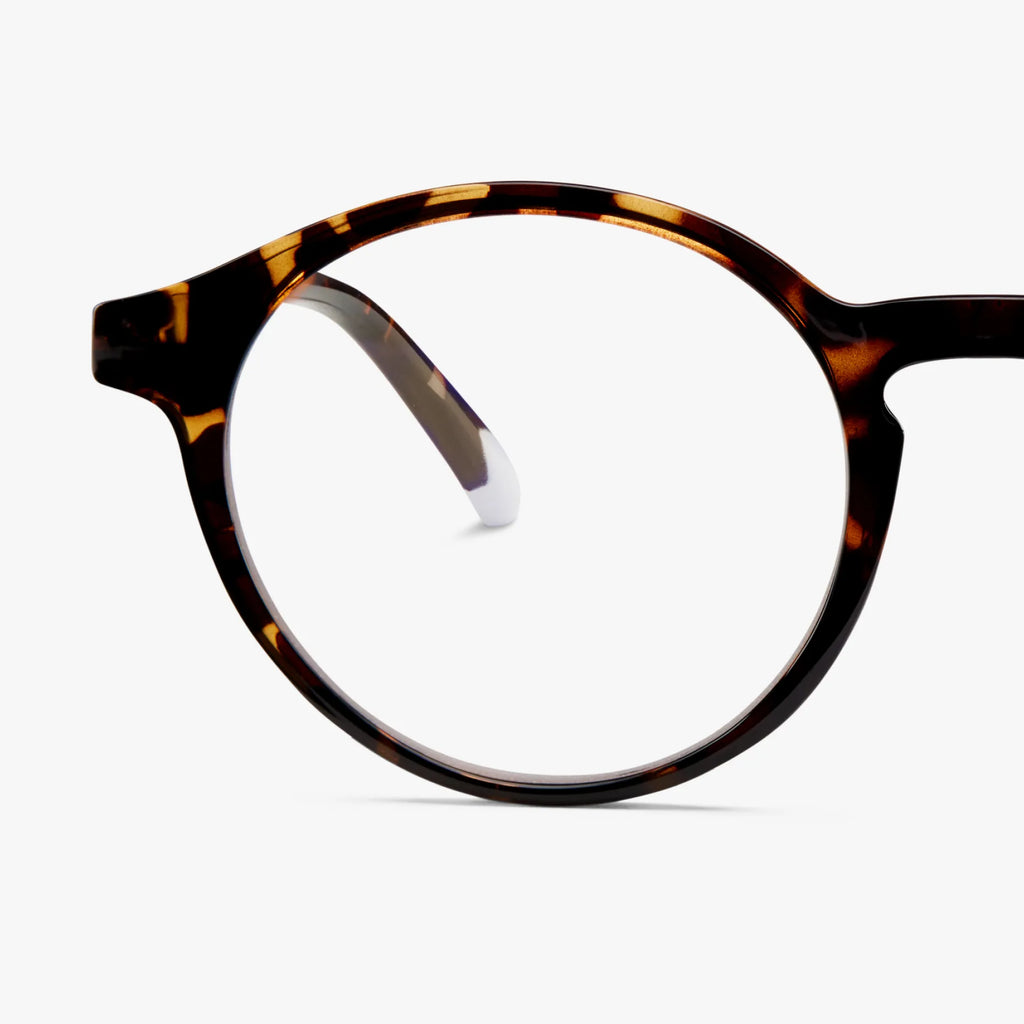 Barner Le Marais Reader Glasses