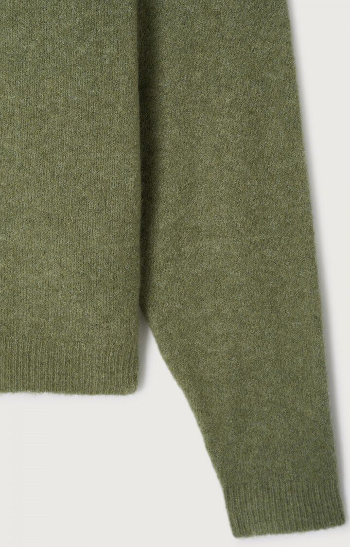 American Vintage Damsville Jumper - Lizard