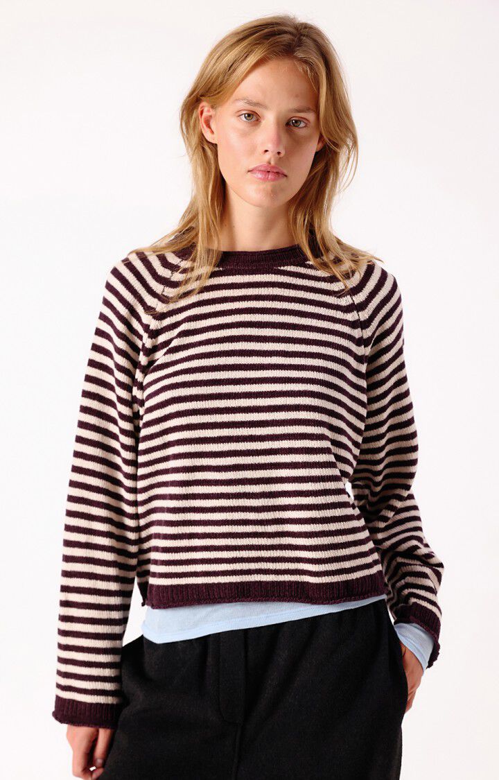 American Vintahe Ekewood Stripe Jumper
