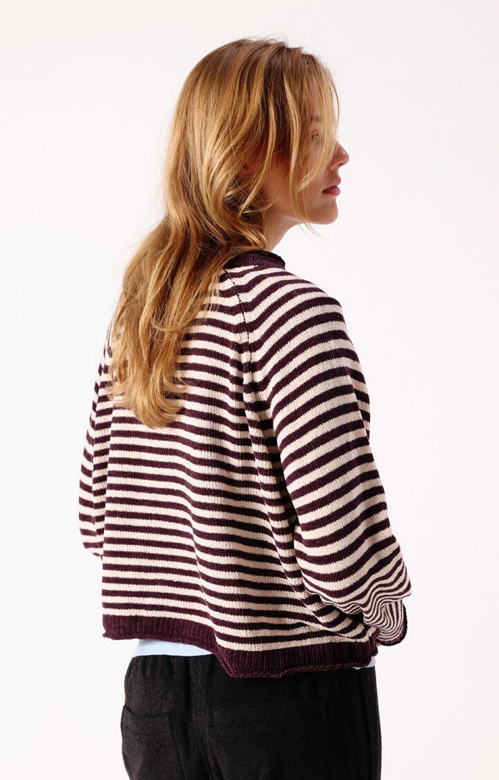 American Vintahe Ekewood Stripe Jumper