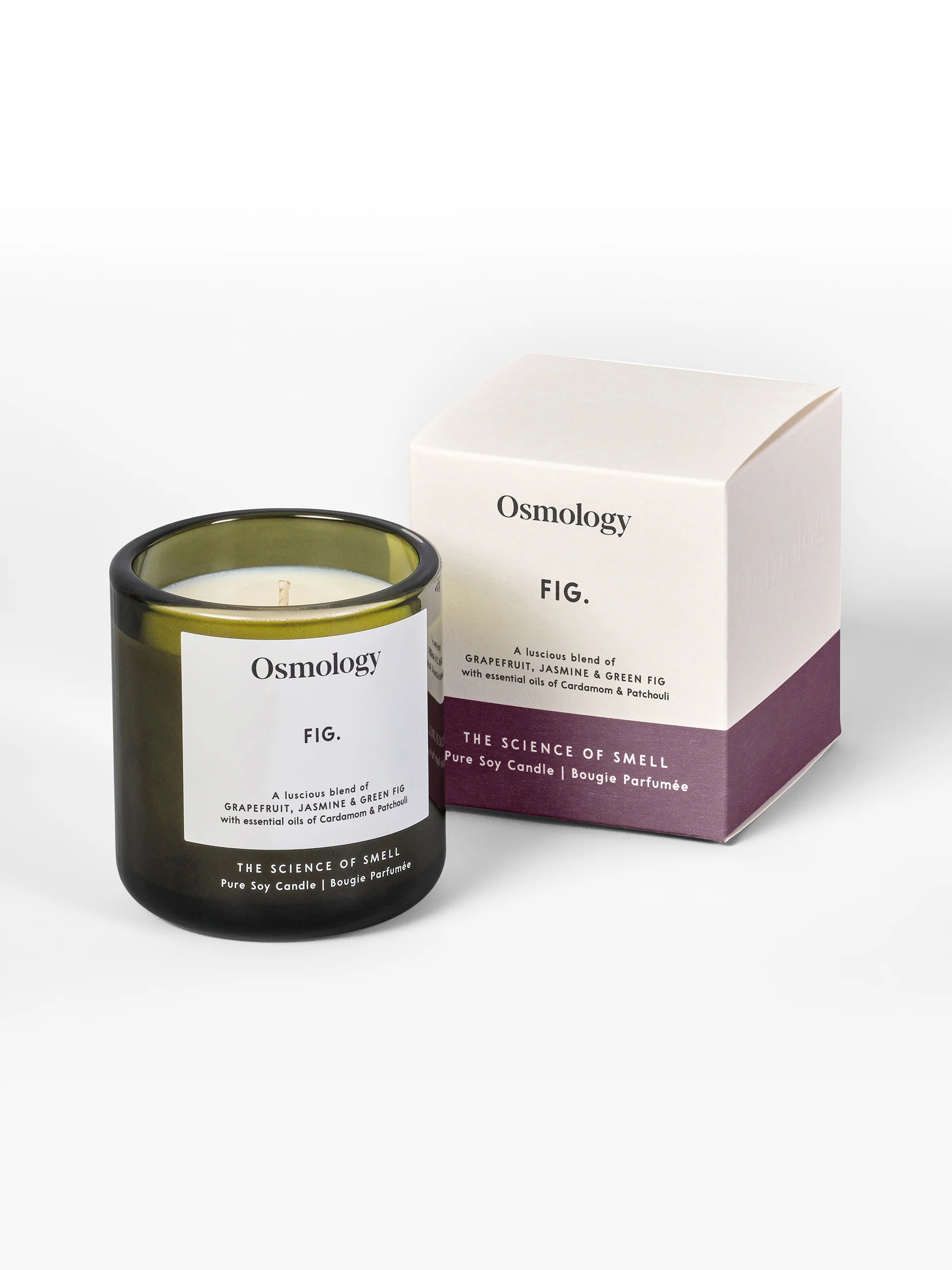 Aery Osmology Fig Candle