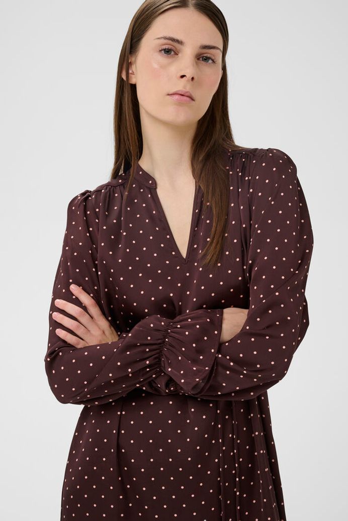 In Wear Polka Dot Zania Dress