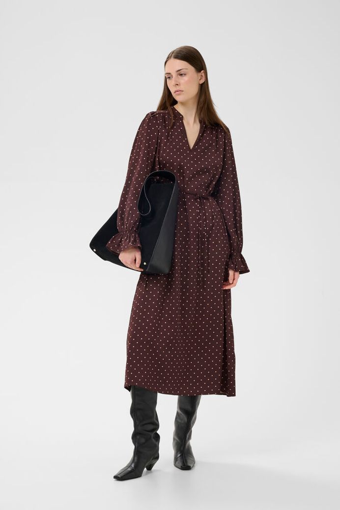 In Wear Polka Dot Zania Dress